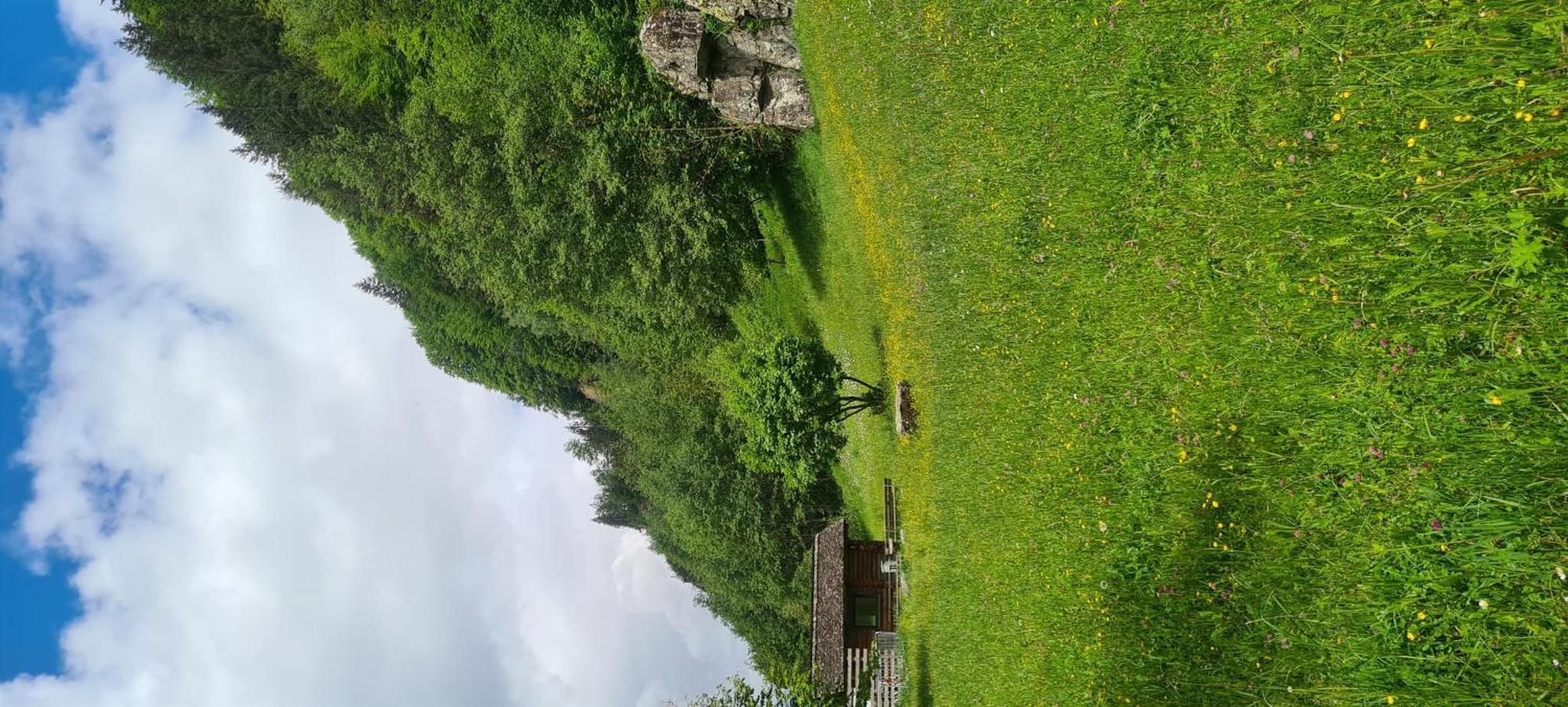 Vila Haus Stehbock Partenen Exteriér fotografie