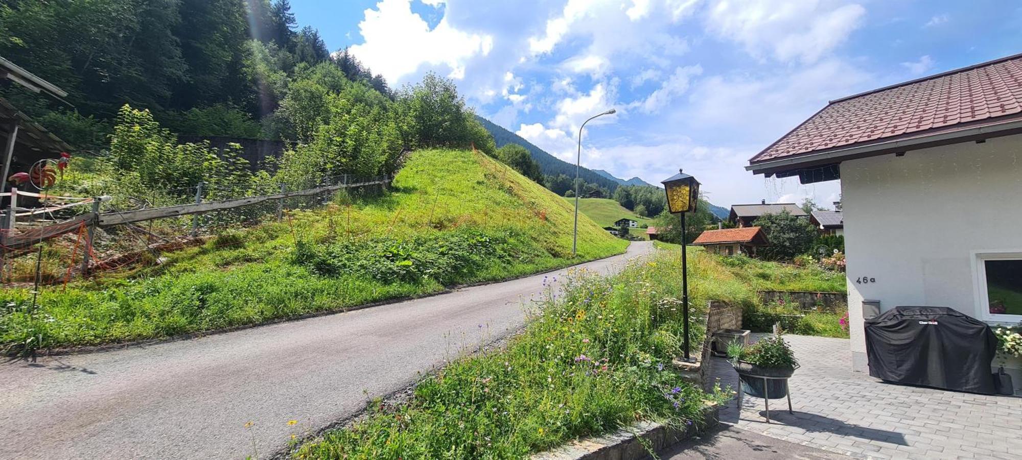 Vila Haus Stehbock Partenen Exteriér fotografie